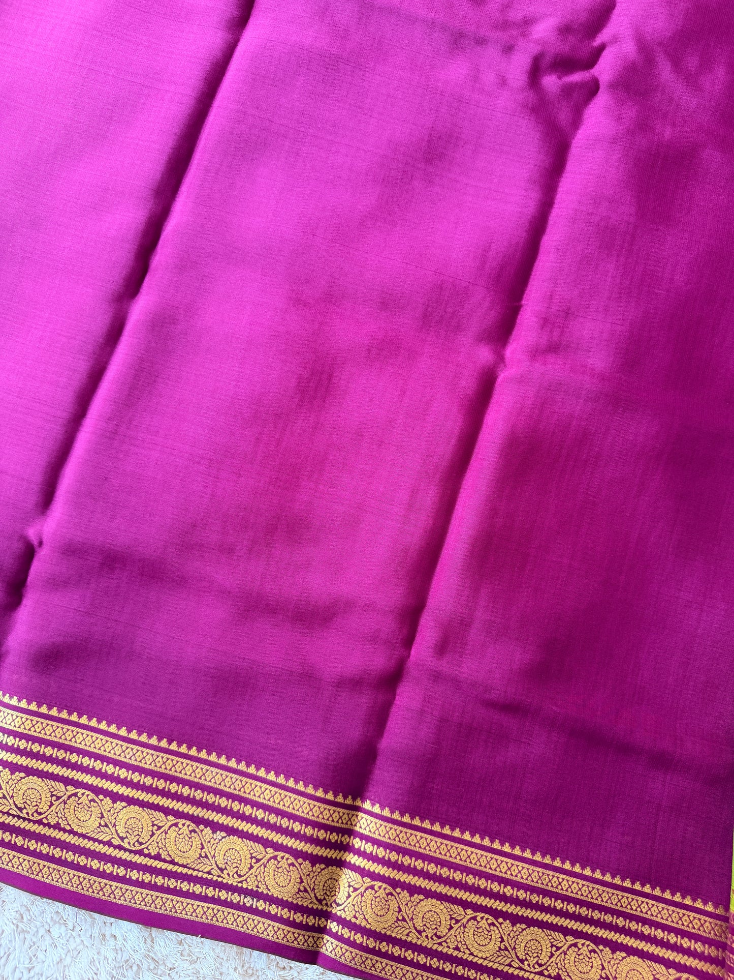 Parrot Green & Purple - TN283