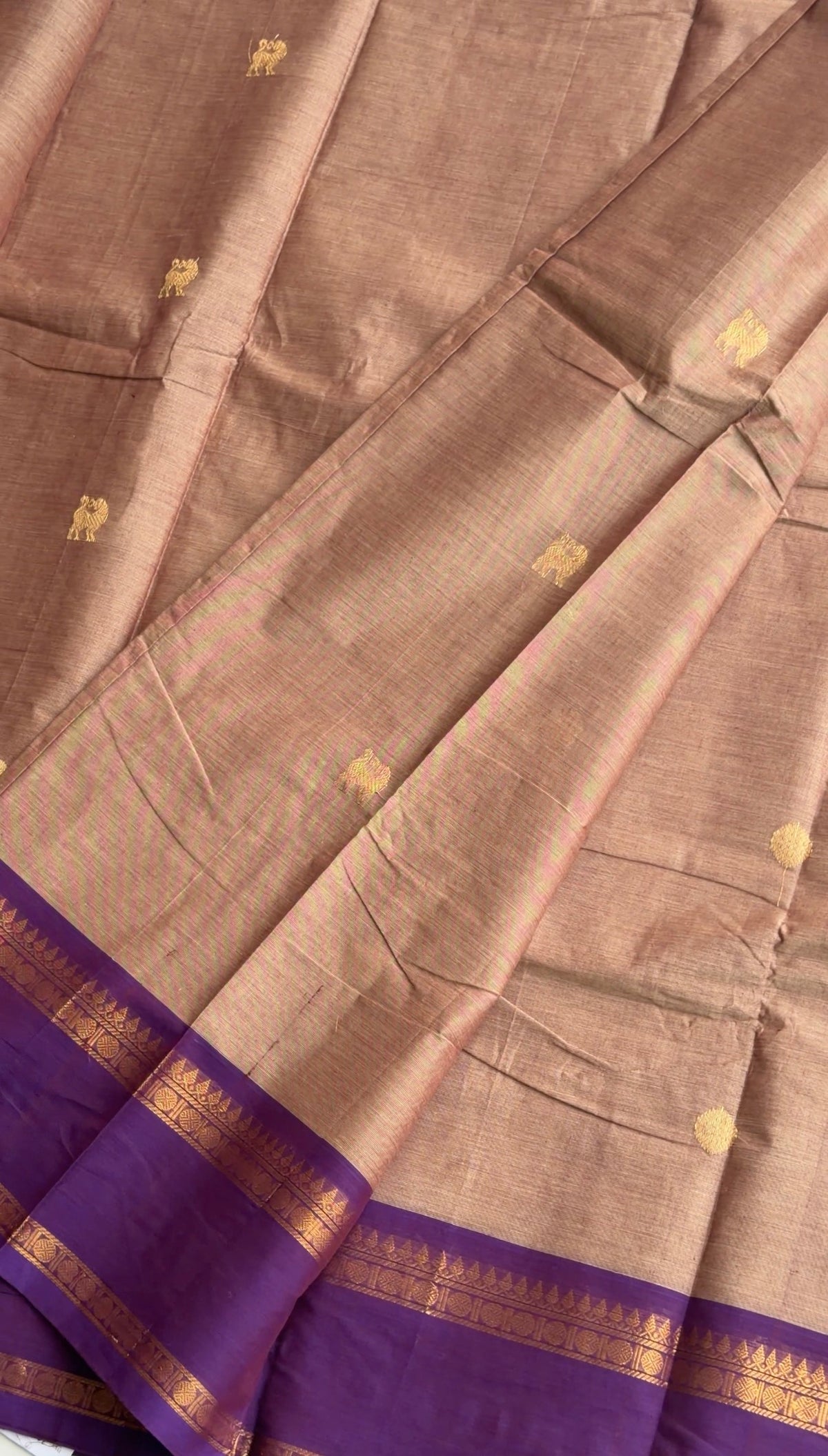 Cream with Purple Kanchi cotton - TN437