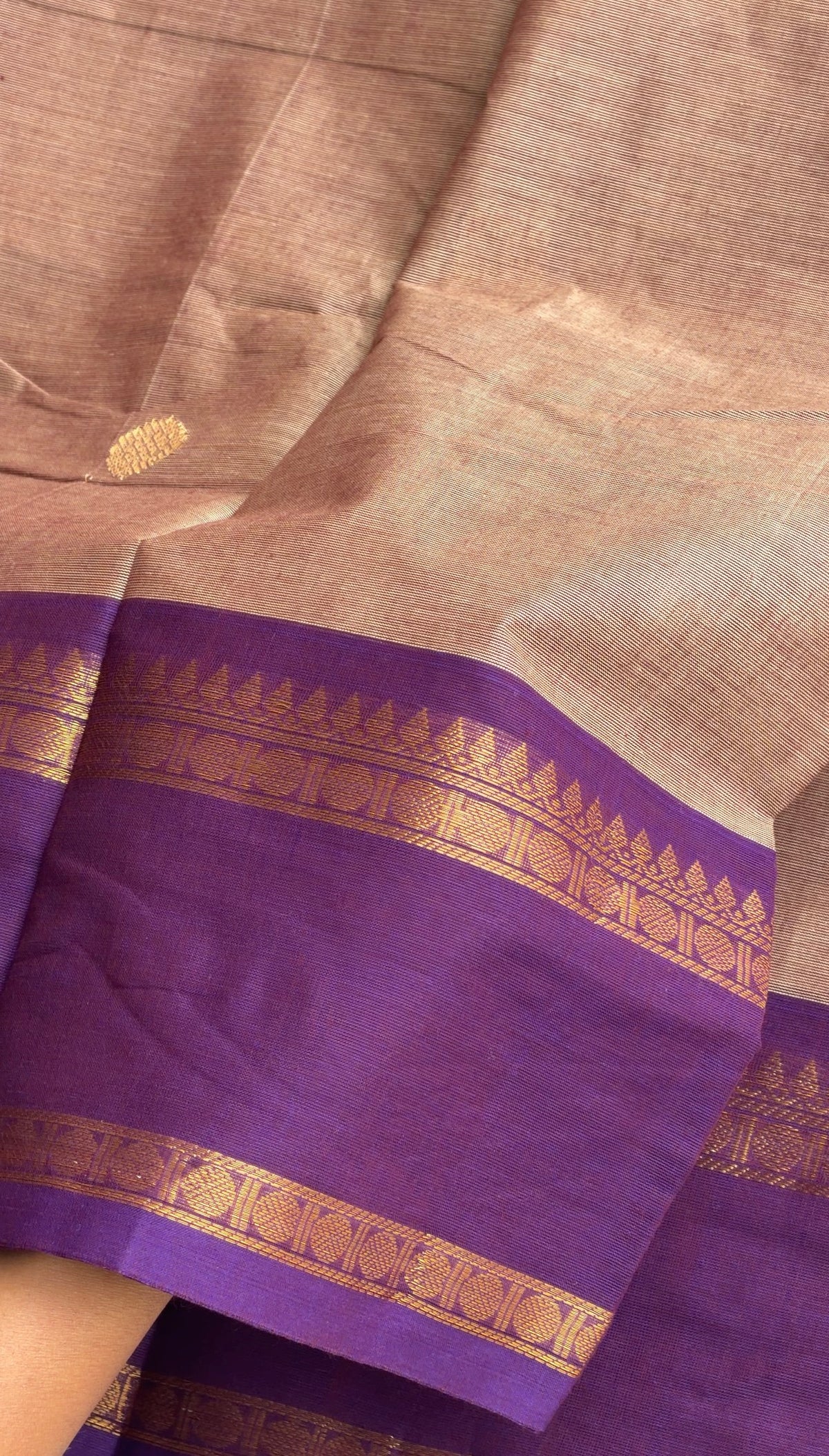 Cream with Purple Kanchi cotton - TN437