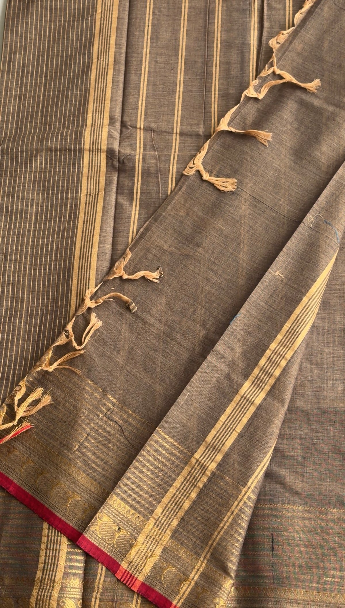 Cream Kanchi cotton - TN431
