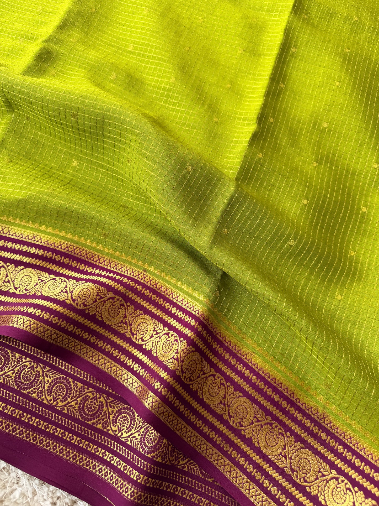 Parrot Green & Purple - TN283