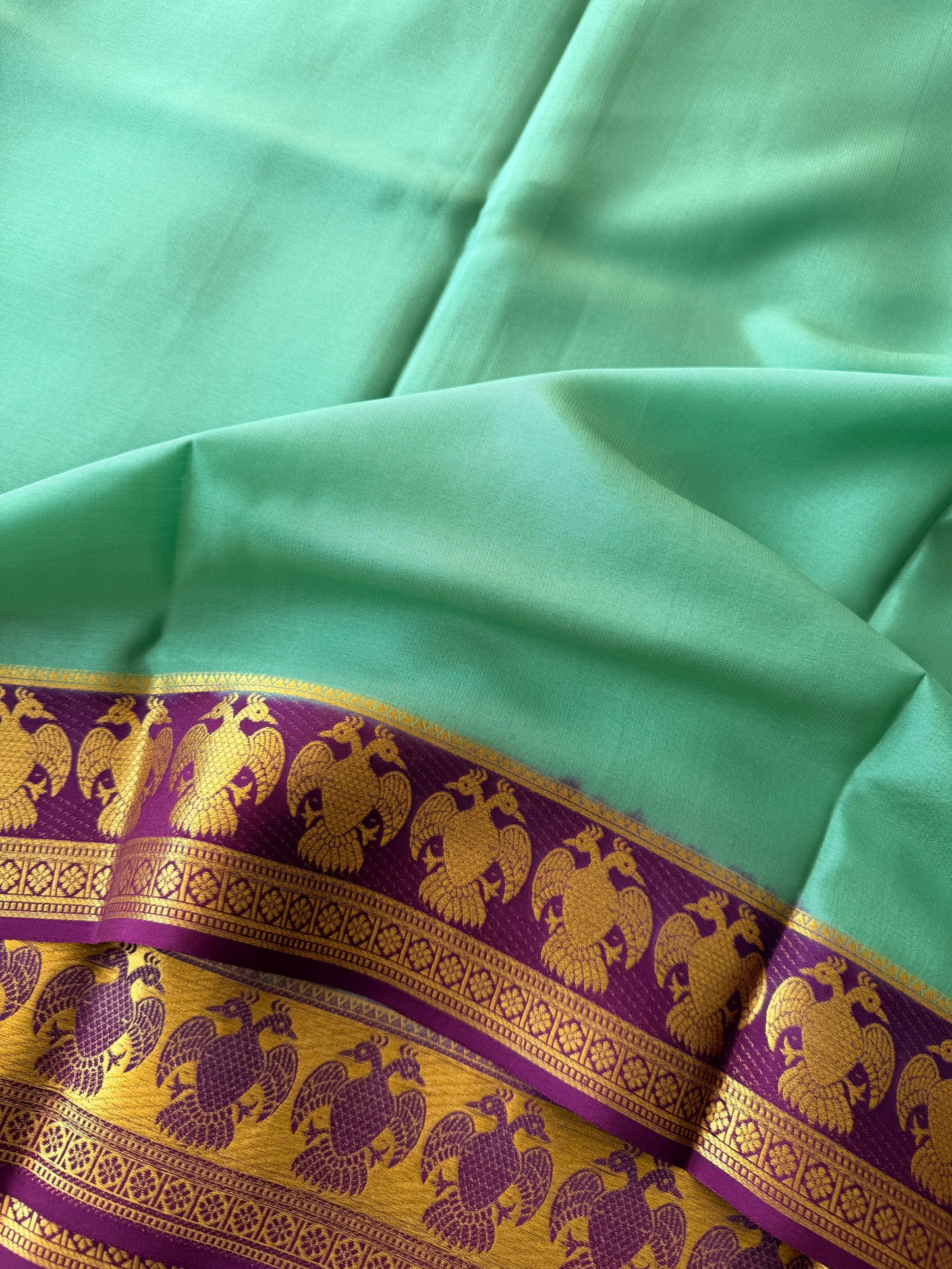 Green & Purple TN260
