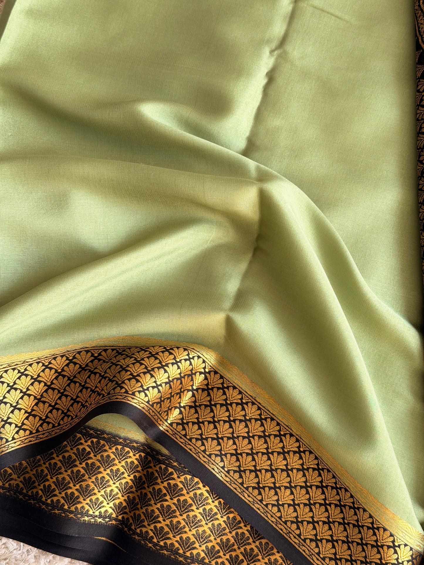 Pista Green & Black Partly Pallu - TN282