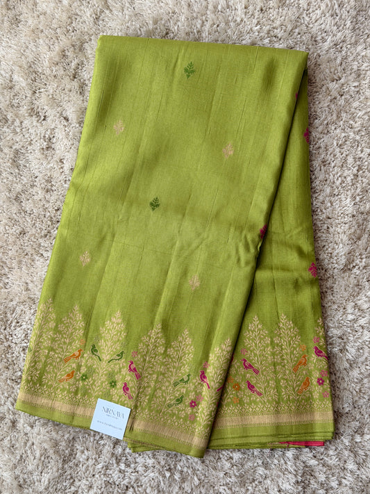 Parrot Green - TN244