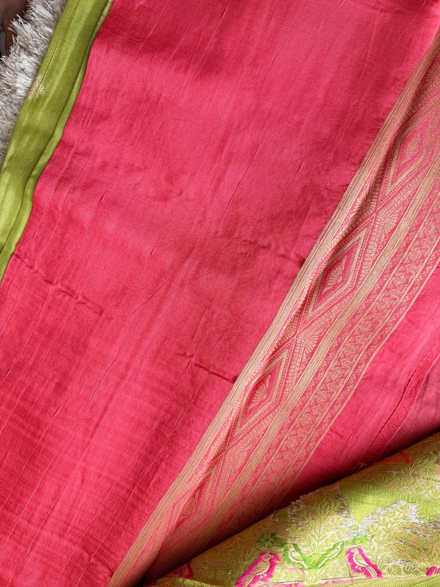 Parrot Green - TN244