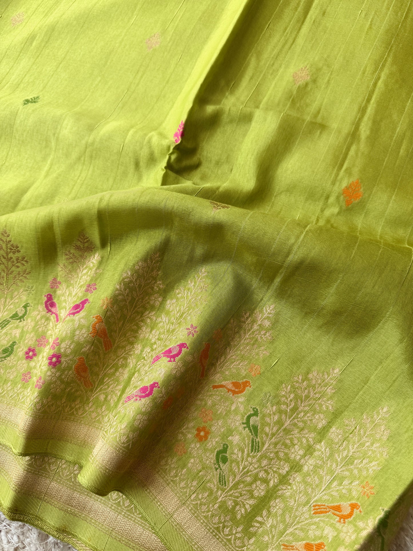 Parrot Green - TN244