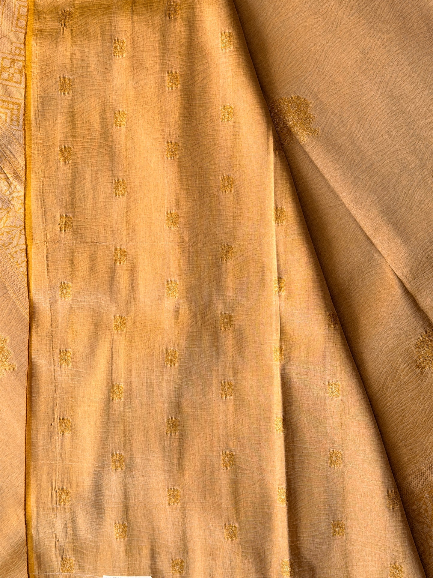 Mustard - TN247