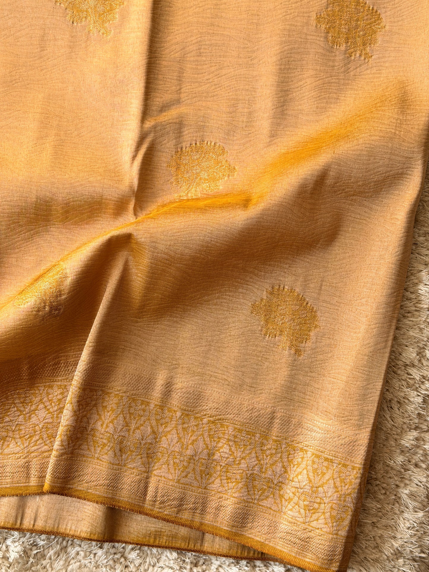 Mustard - TN247