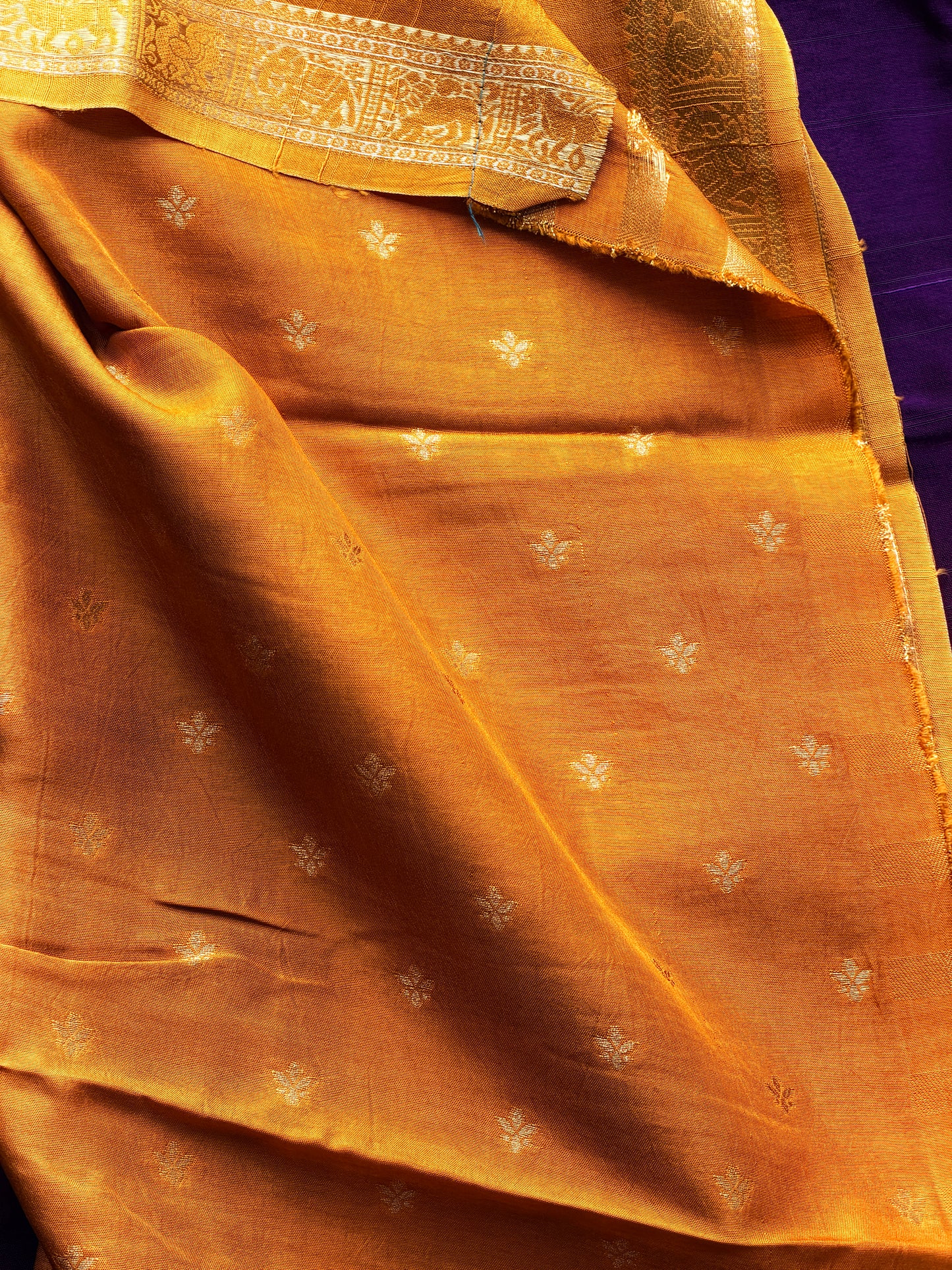 Purple & Yellow - TN367