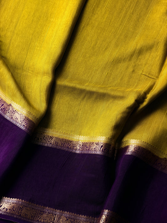 Lime Green & Purple - TN364