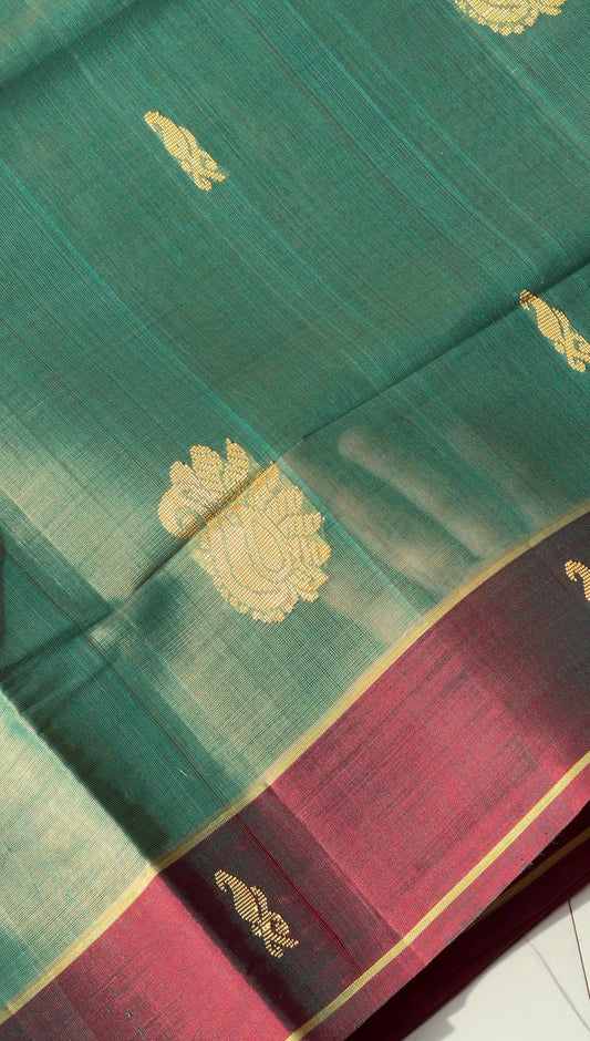 Vegan Silk Saree(Sage green and maroon)- TN386